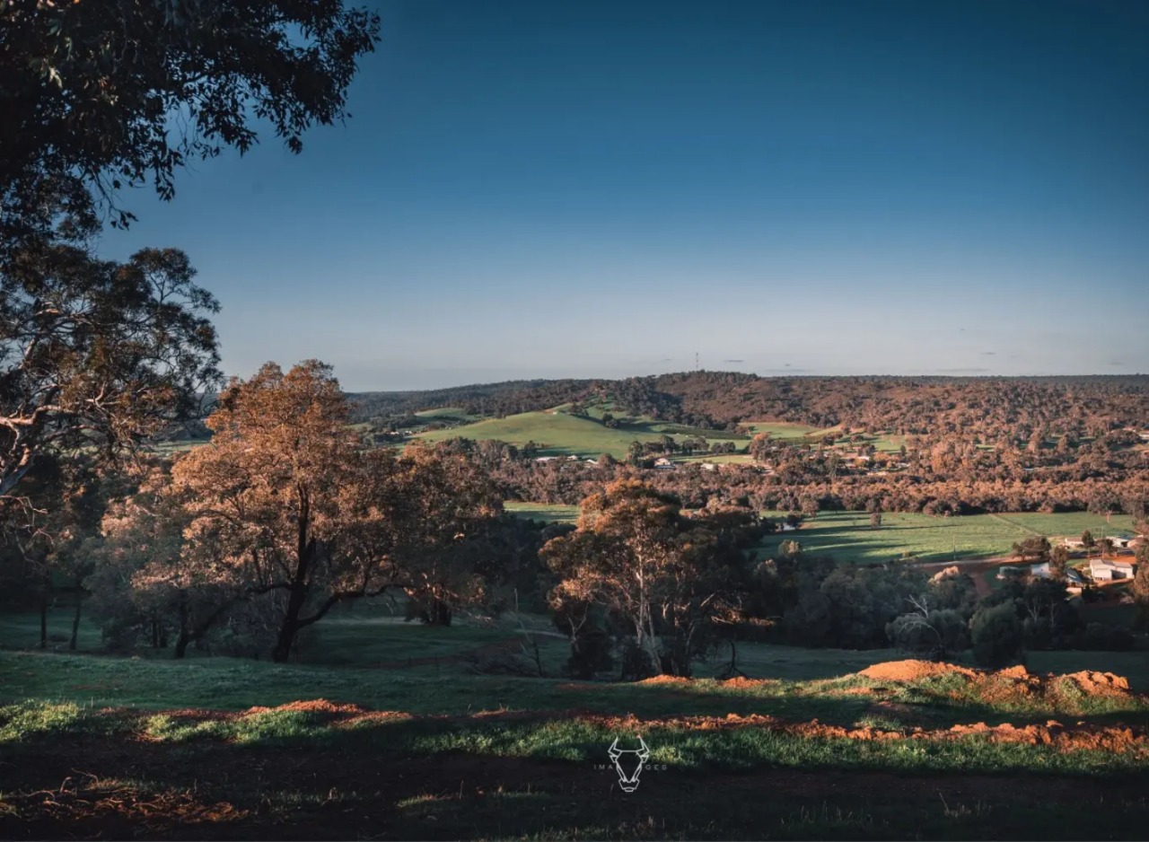 dog friendly Chittering Valley tour