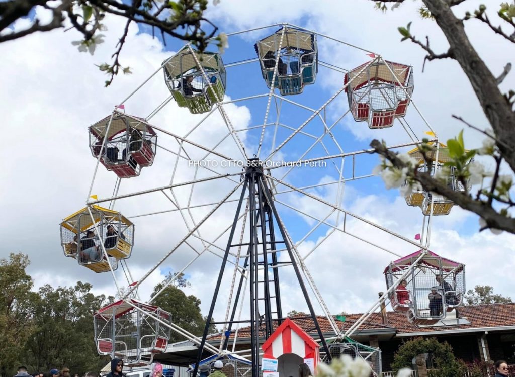 S&R Blossom Festival1