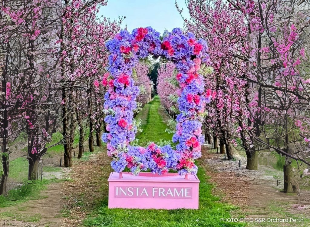 S&R Blossom Festival3