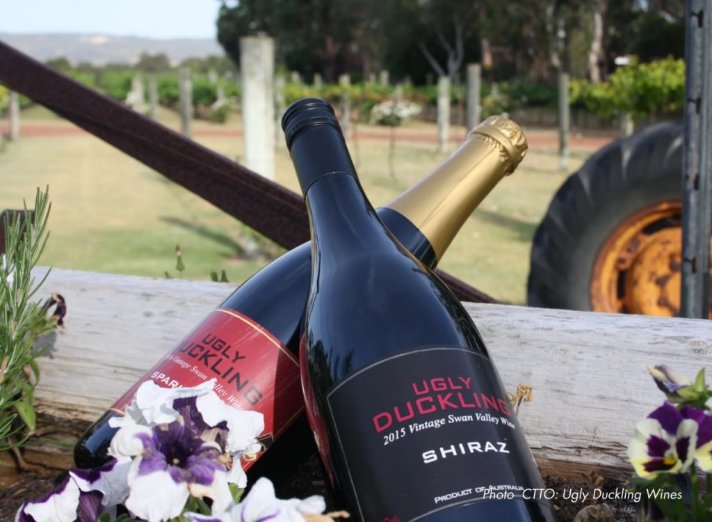 WhatsApp Image 2025-11-23 at 14.21.23